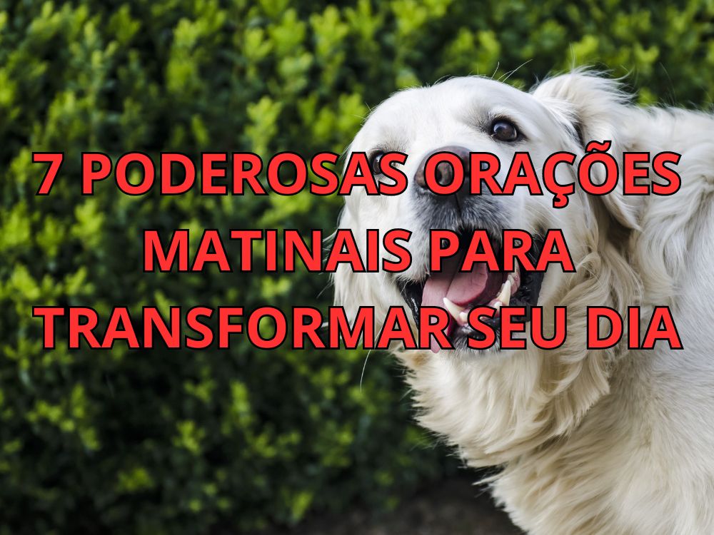 7 Poderosas Orações Matinais para Transformar Seu Dia